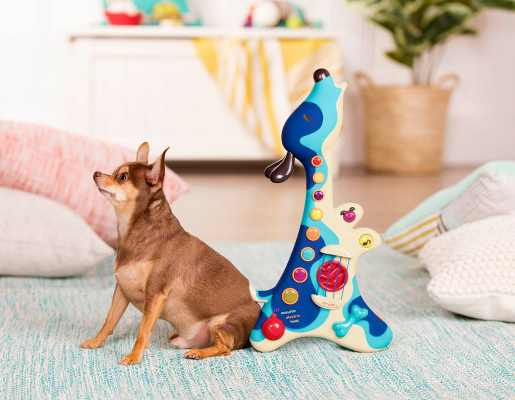 Dog Musical Guitar