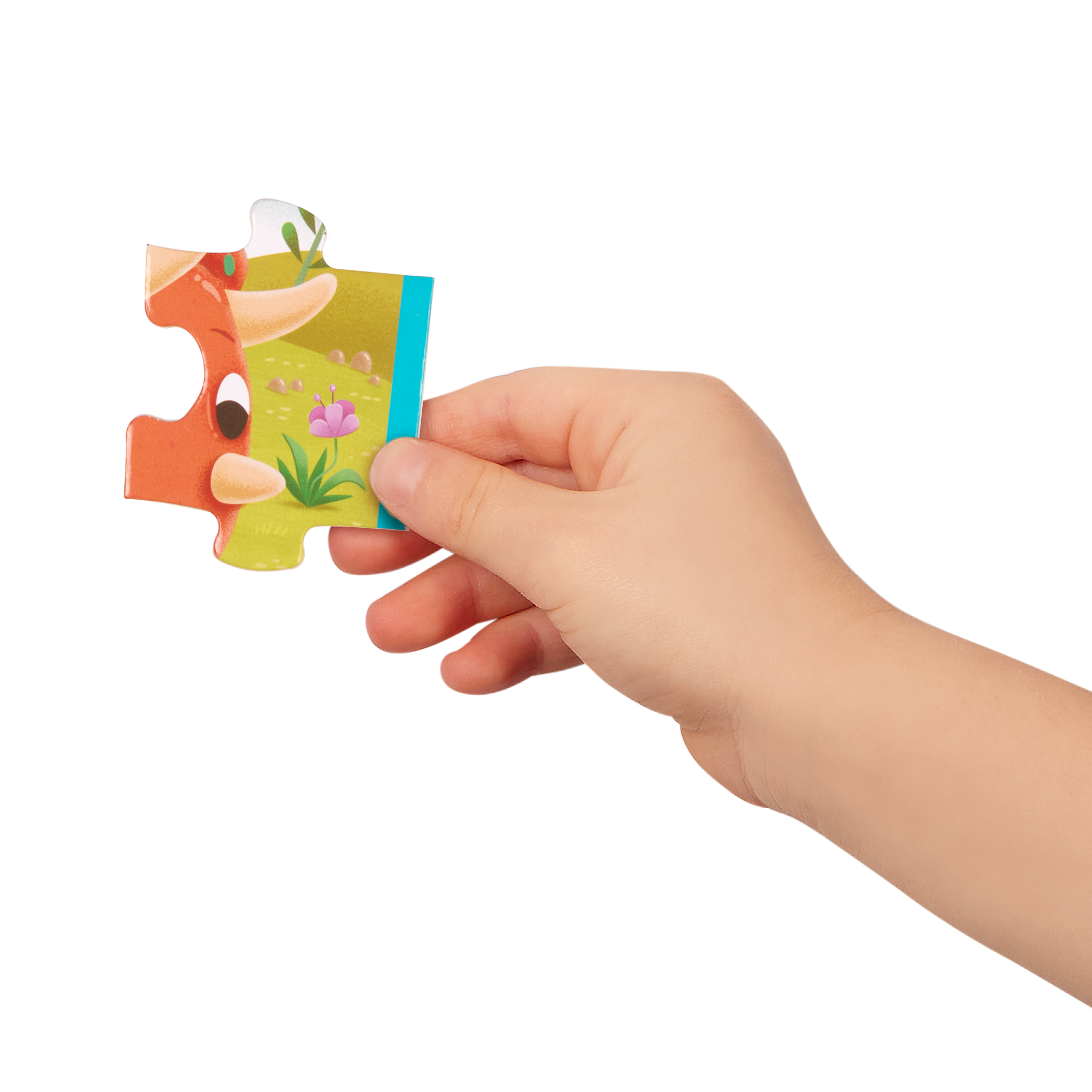 Pack O Puzzles