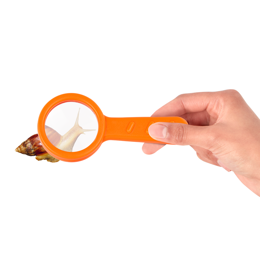 Inspect An Insect Set