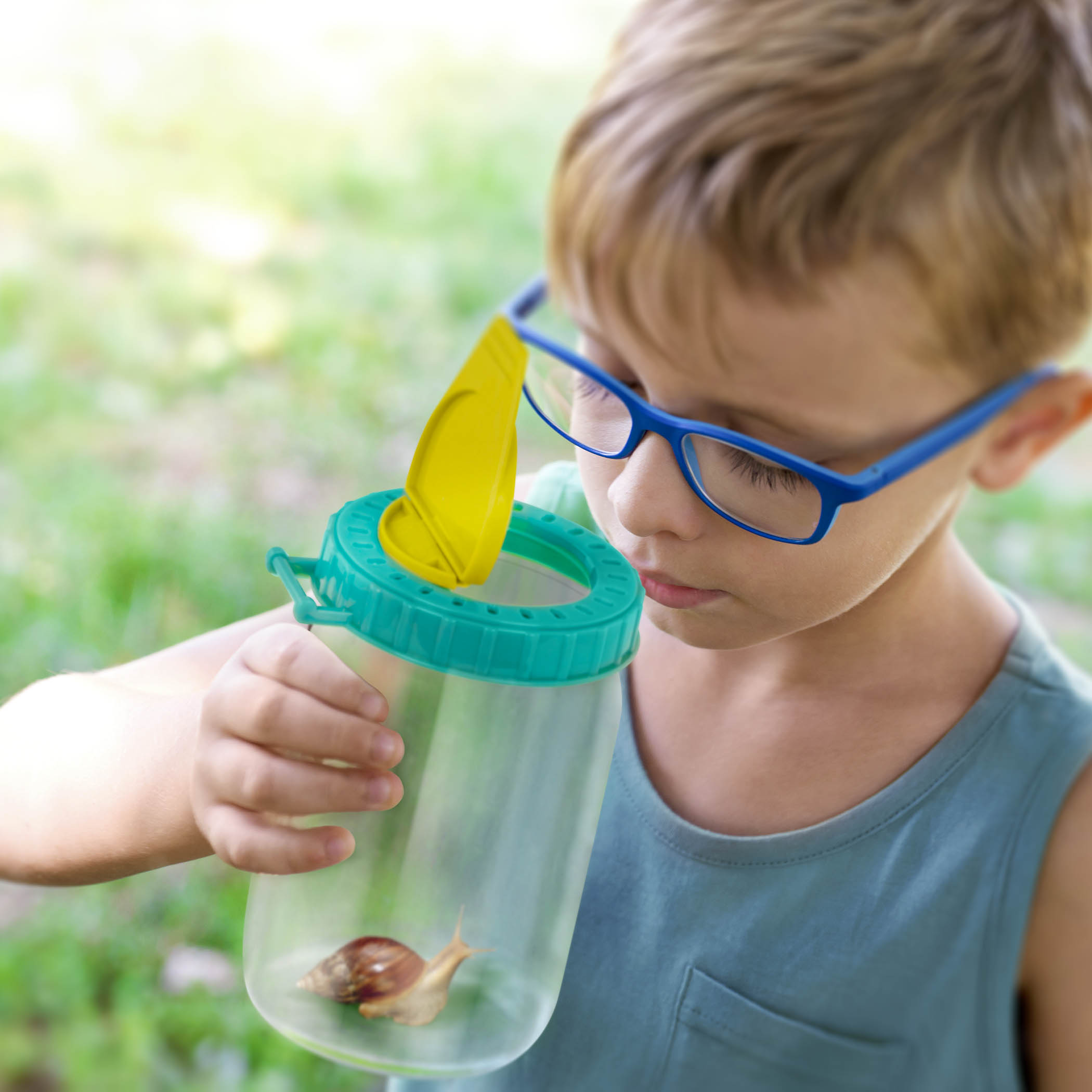 Inspect An Insect Set
