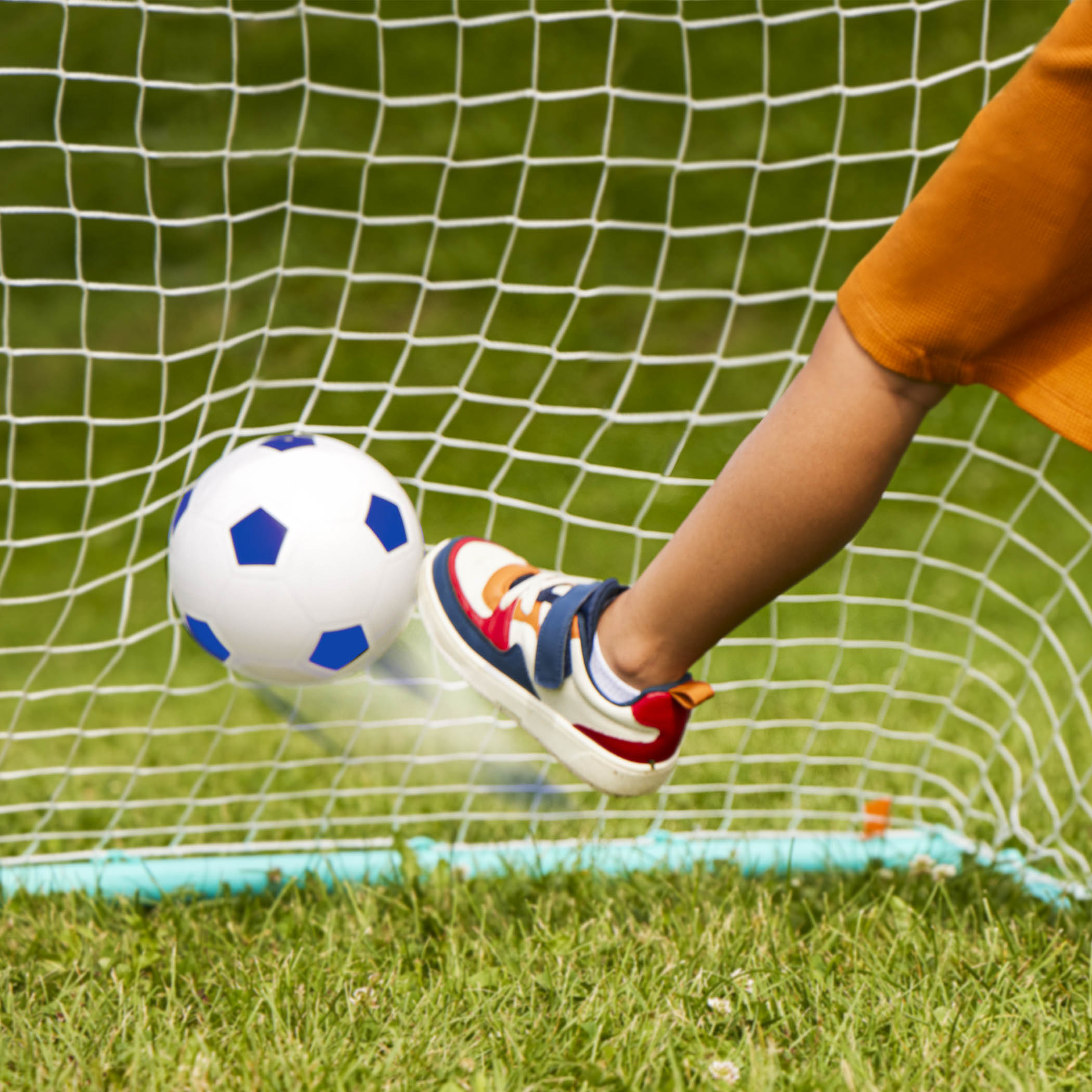 Soccer Net Ball