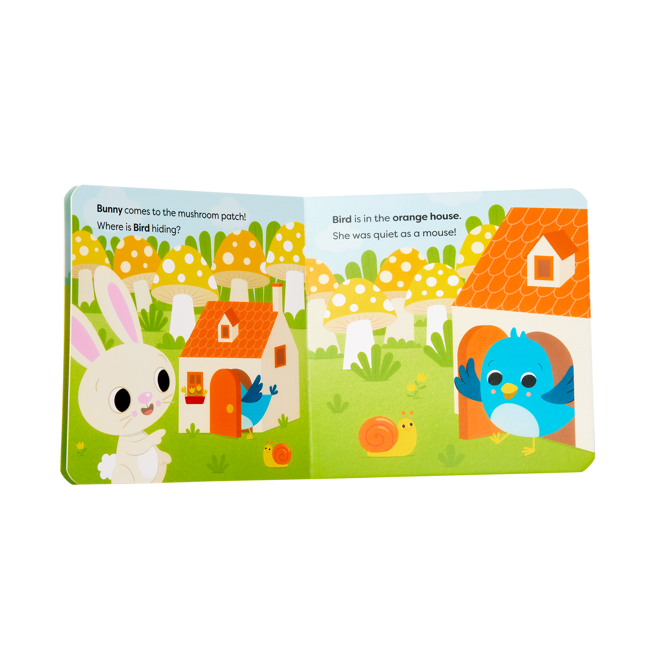 Lil Learning Cube